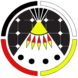 Indigenized Energy Portal